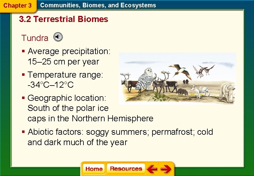 Chapter 3 Communities, Biomes, and Ecosystems 3. 2 Terrestrial Biomes Tundra § Average precipitation: