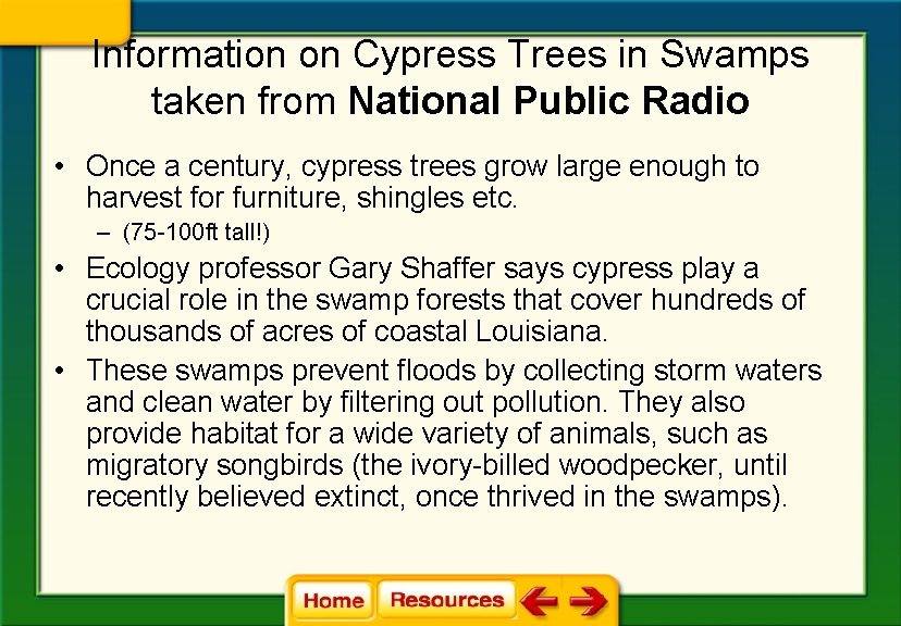 Information on Cypress Trees in Swamps taken from National Public Radio • Once a