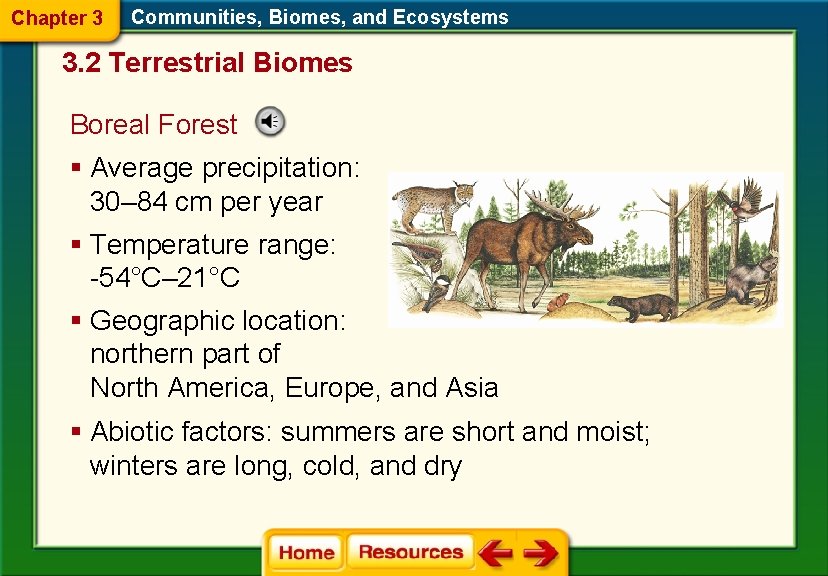 Chapter 3 Communities, Biomes, and Ecosystems 3. 2 Terrestrial Biomes Boreal Forest § Average