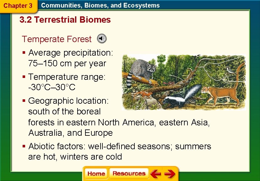 Chapter 3 Communities, Biomes, and Ecosystems 3. 2 Terrestrial Biomes Temperate Forest § Average