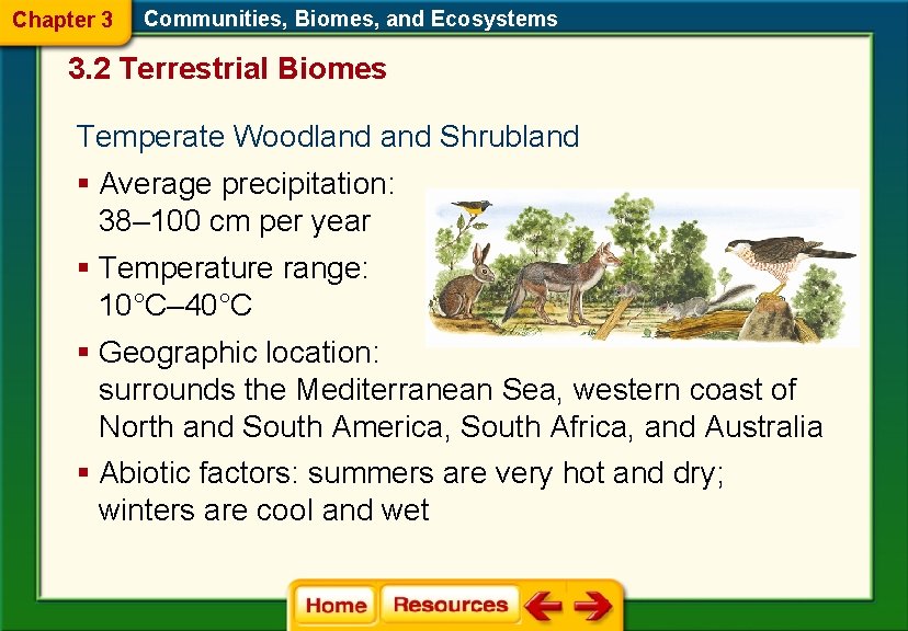 Chapter 3 Communities, Biomes, and Ecosystems 3. 2 Terrestrial Biomes Temperate Woodland Shrubland §