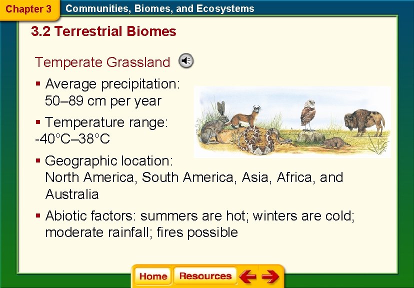 Chapter 3 Communities, Biomes, and Ecosystems 3. 2 Terrestrial Biomes Temperate Grassland § Average