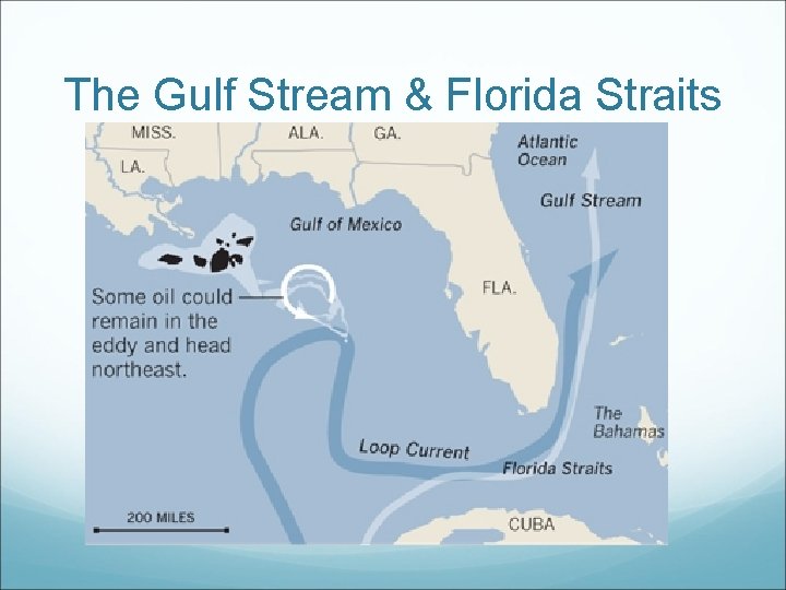 The Gulf Stream & Florida Straits 