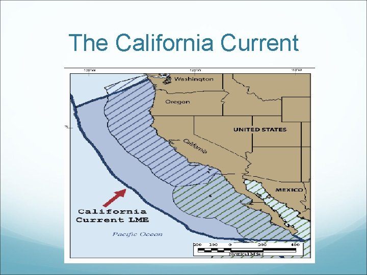 The California Current 