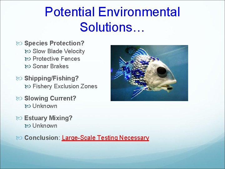 Potential Environmental Solutions… Species Protection? Slow Blade Velocity Protective Fences Sonar Brakes Shipping/Fishing? Fishery