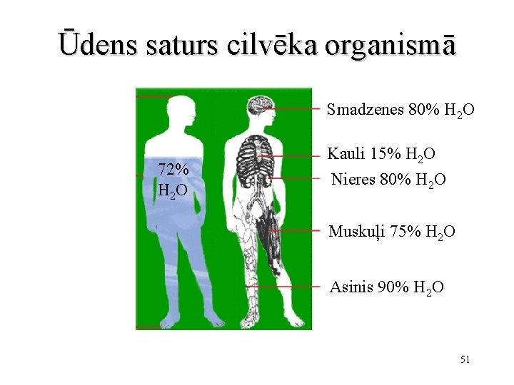 Ūdens saturs cilvēka organismā Smadzenes 80% H 2 O 72% H 2 O Kauli