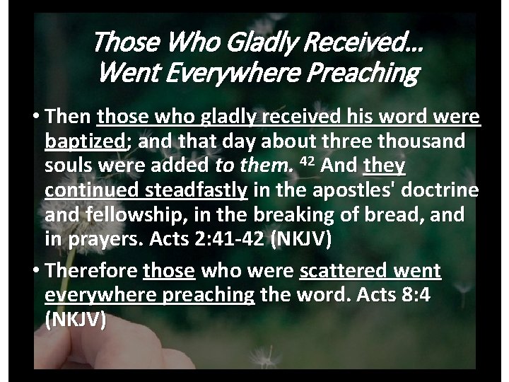 Those Who Gladly Received… Went Everywhere Preaching • Then those who gladly received his