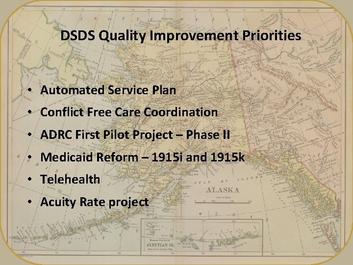 DSDS Quality Improvement Priorities • Automated Service Plan • Conflict Free Care Coordination •