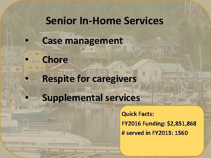 Senior In-Home Services • Case management • Chore • Respite for caregivers • Supplemental