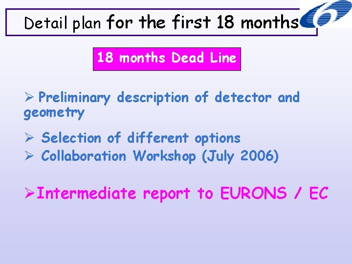 Detail plan for the first 18 months Dead Line Preliminary description of detector and