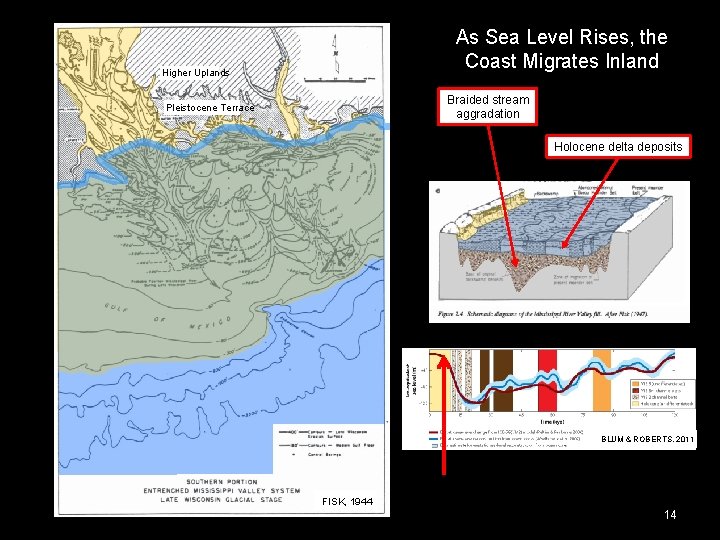 As Sea Level Rises, the Coast Migrates Inland Higher Uplands Braided stream aggradation Pleistocene