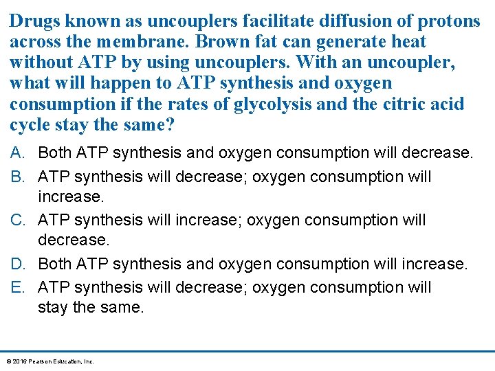 Drugs known as uncouplers facilitate diffusion of protons across the membrane. Brown fat can