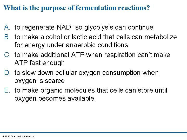 What is the purpose of fermentation reactions? A. to regenerate NAD+ so glycolysis can