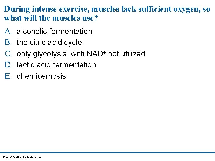 During intense exercise, muscles lack sufficient oxygen, so what will the muscles use? A.