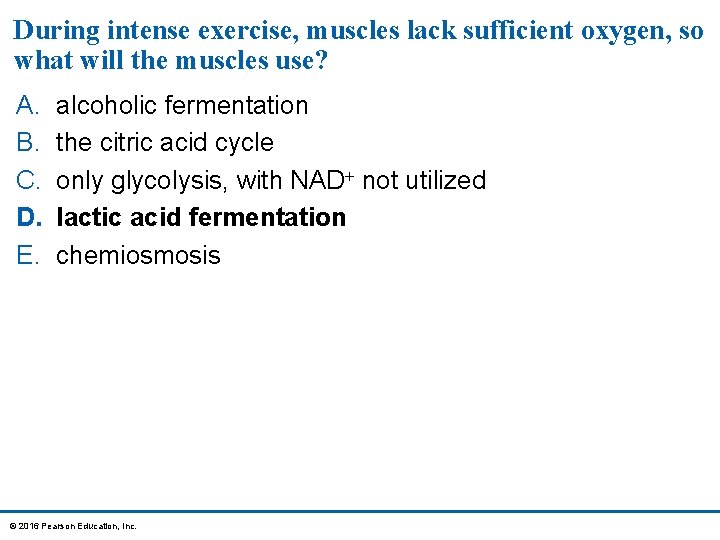 During intense exercise, muscles lack sufficient oxygen, so what will the muscles use? A.