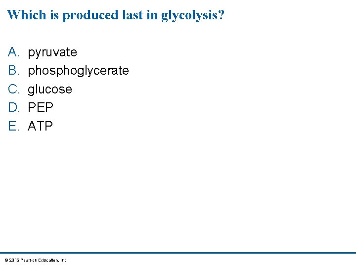 Which is produced last in glycolysis? A. B. C. D. E. pyruvate phosphoglycerate glucose