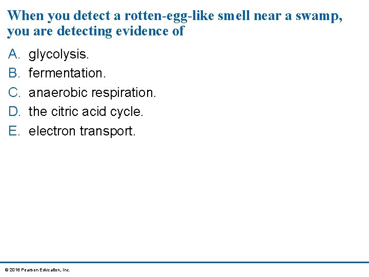 When you detect a rotten-egg-like smell near a swamp, you are detecting evidence of