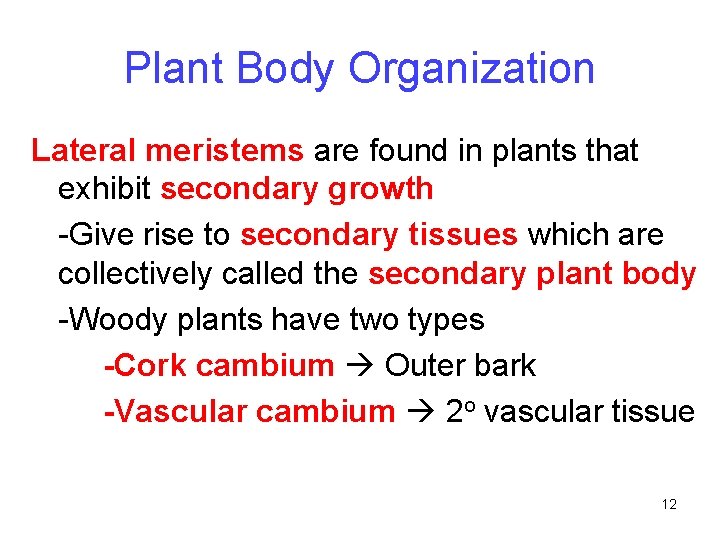 Plant Body Organization Lateral meristems are found in plants that exhibit secondary growth -Give