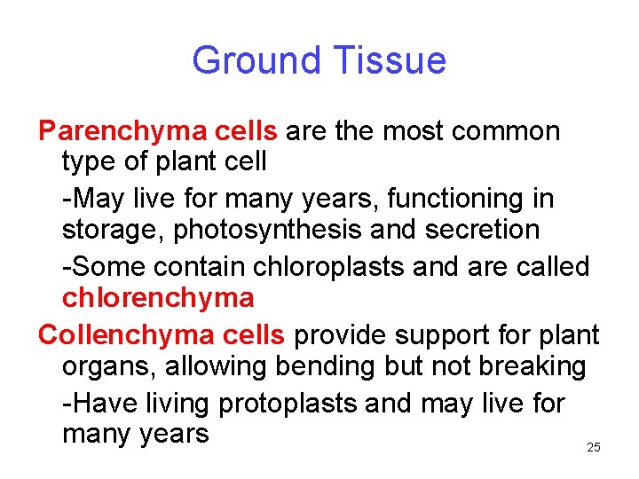 Ground Tissue Parenchyma cells are the most common type of plant cell -May live