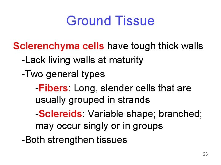 Ground Tissue Sclerenchyma cells have tough thick walls -Lack living walls at maturity -Two