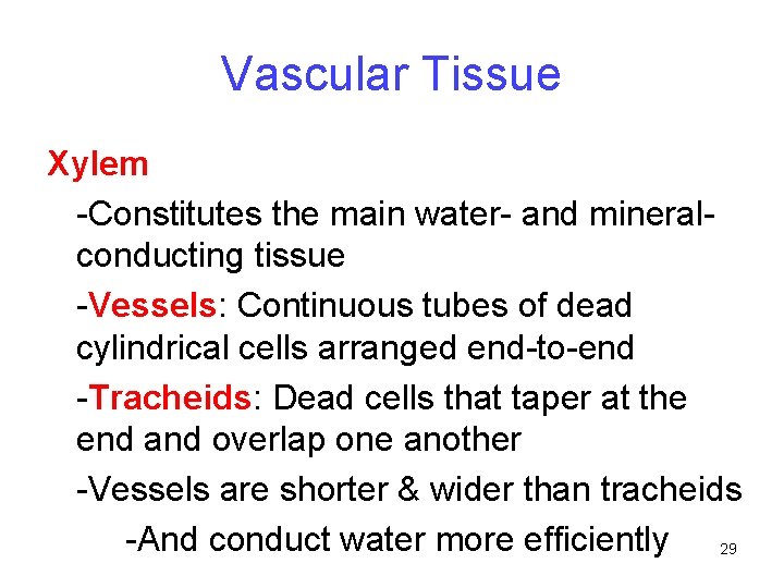 Vascular Tissue Xylem -Constitutes the main water- and mineralconducting tissue -Vessels: Continuous tubes of