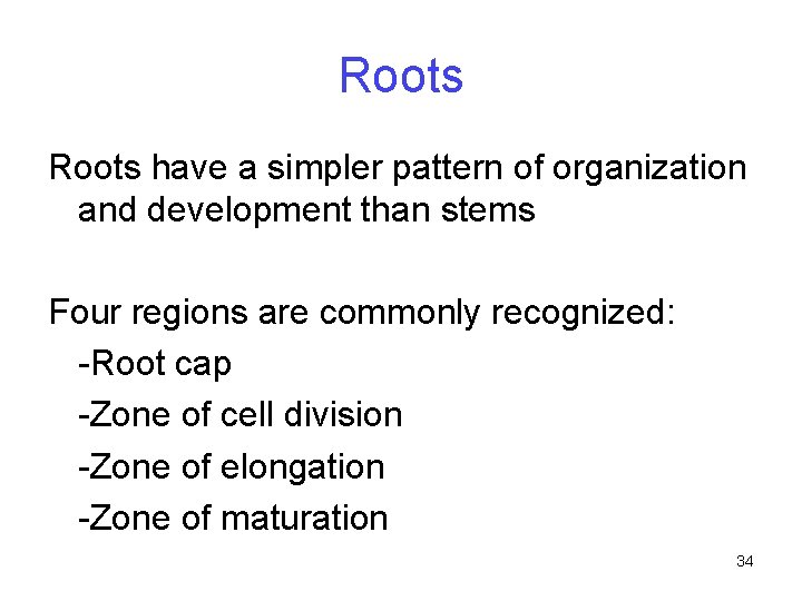 Roots have a simpler pattern of organization and development than stems Four regions are