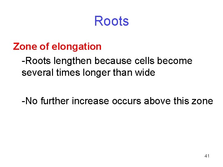 Roots Zone of elongation -Roots lengthen because cells become several times longer than wide