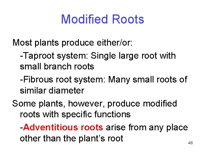 Modified Roots Most plants produce either/or: -Taproot system: Single large root with small branch