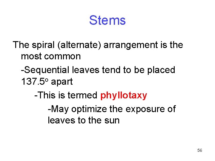 Stems The spiral (alternate) arrangement is the most common -Sequential leaves tend to be
