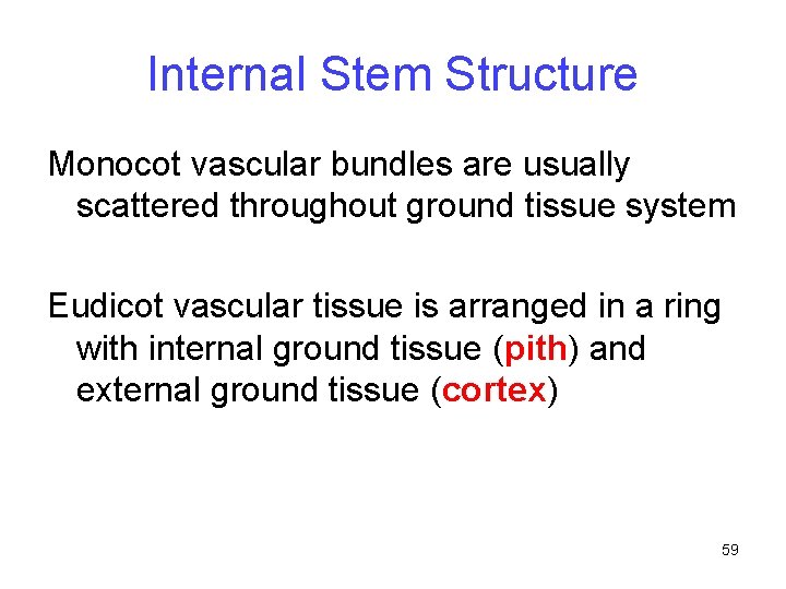 Internal Stem Structure Monocot vascular bundles are usually scattered throughout ground tissue system Eudicot