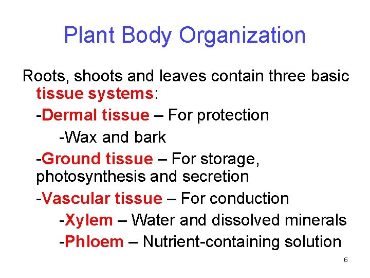 Plant Body Organization Roots, shoots and leaves contain three basic tissue systems: -Dermal tissue