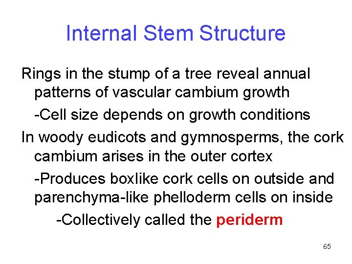 Internal Stem Structure Rings in the stump of a tree reveal annual patterns of