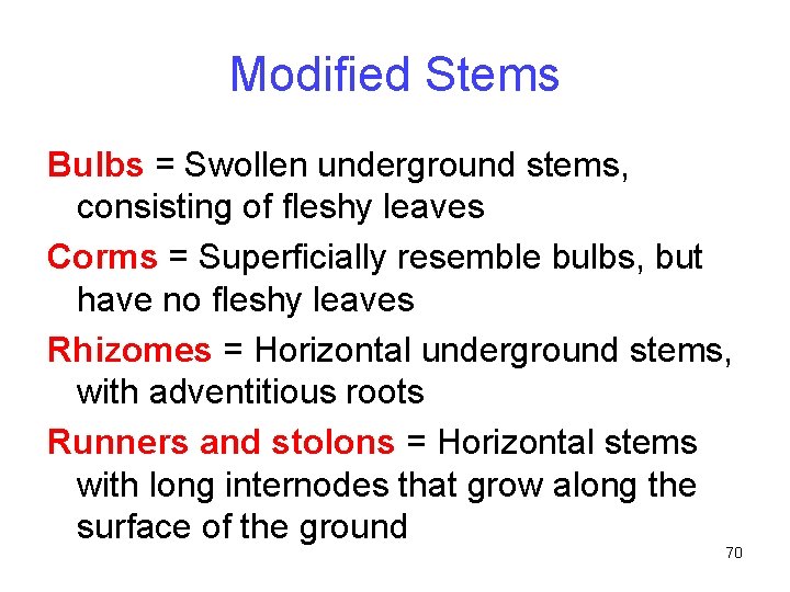 Modified Stems Bulbs = Swollen underground stems, consisting of fleshy leaves Corms = Superficially