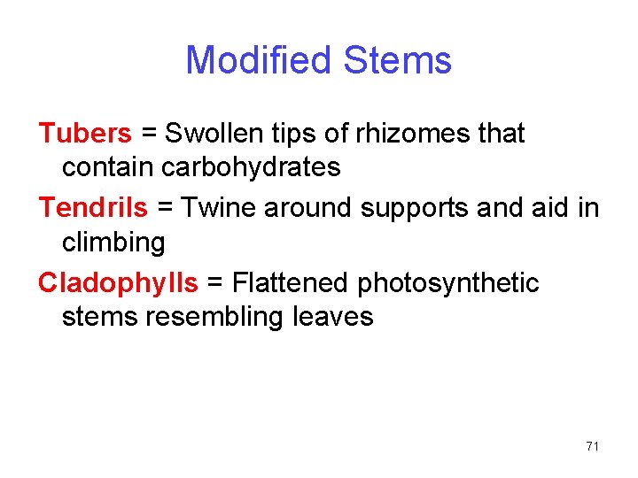 Modified Stems Tubers = Swollen tips of rhizomes that contain carbohydrates Tendrils = Twine