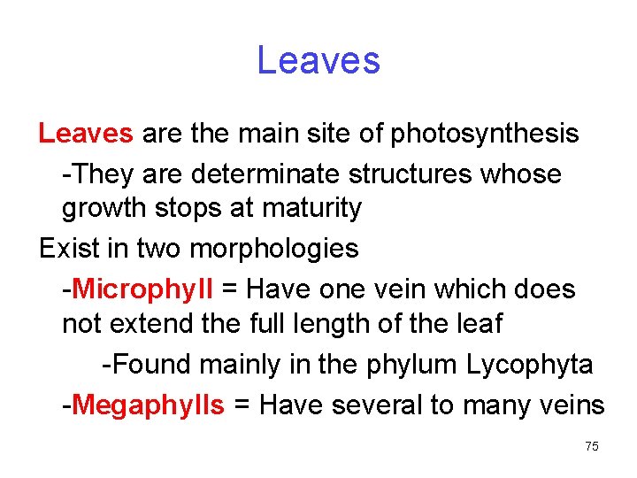 Leaves are the main site of photosynthesis -They are determinate structures whose growth stops