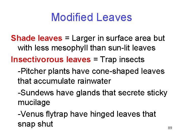 Modified Leaves Shade leaves = Larger in surface area but with less mesophyll than