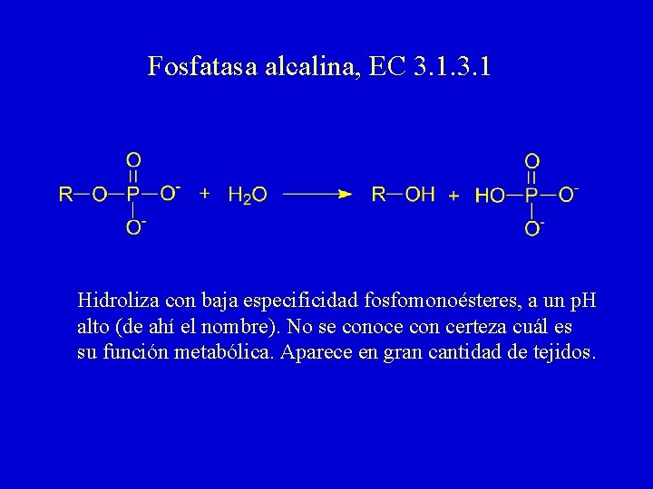 Fosfatasa alcalina, EC 3. 1 Hidroliza con baja especificidad fosfomonoésteres, a un p. H