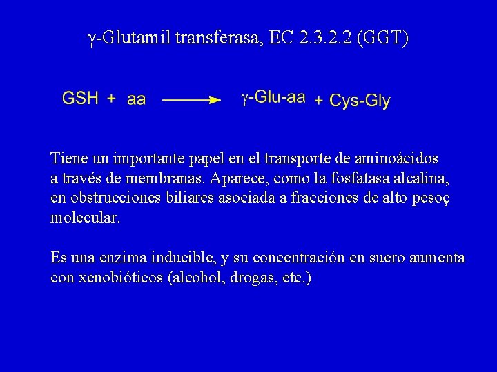 g-Glutamil transferasa, EC 2. 3. 2. 2 (GGT) Tiene un importante papel en el g-Glutamil transferasa, EC 2. 3. 2. 2 (GGT) Tiene un importante papel en el