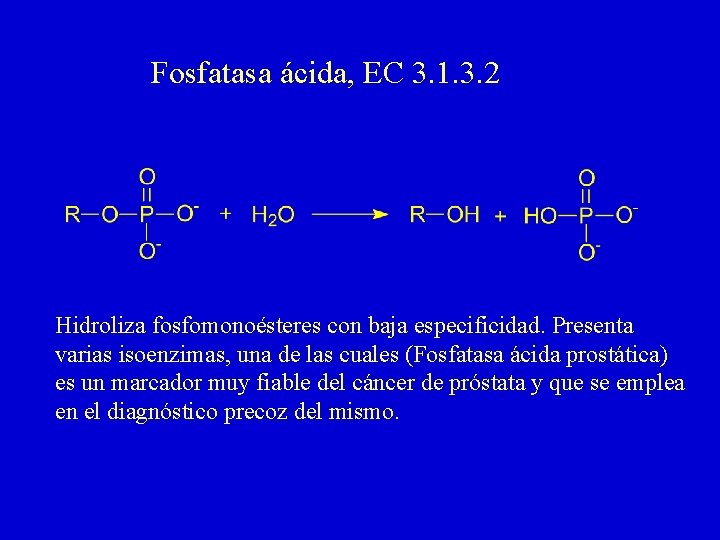 Fosfatasa ácida, EC 3. 1. 3. 2 Hidroliza fosfomonoésteres con baja especificidad. Presenta varias