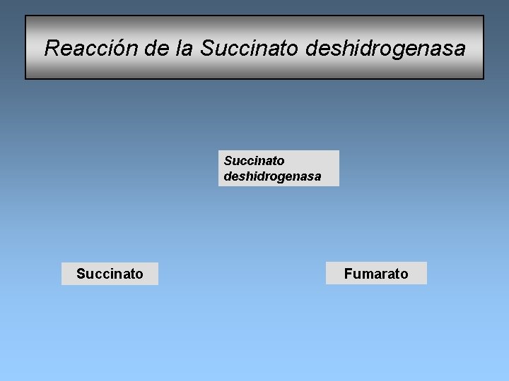 Reacción de la Succinato deshidrogenasa Succinato Fumarato 