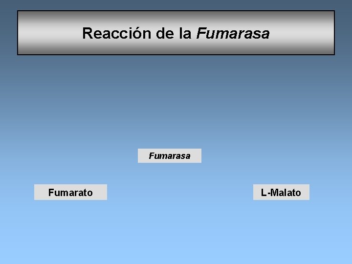 Reacción de la Fumarasa Fumarato L-Malato 