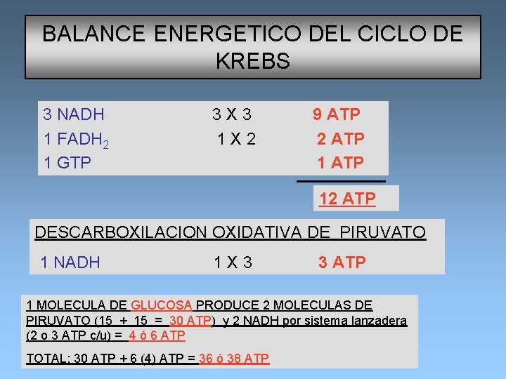 BALANCE ENERGETICO DEL CICLO DE KREBS 3 NADH 3 X 3 9 ATP 1