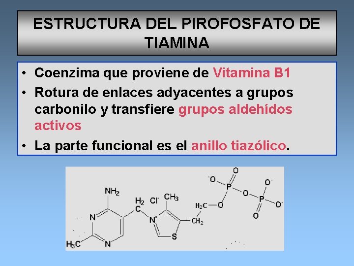 ESTRUCTURA DEL PIROFOSFATO DE TIAMINA • Coenzima que proviene de Vitamina B 1 •