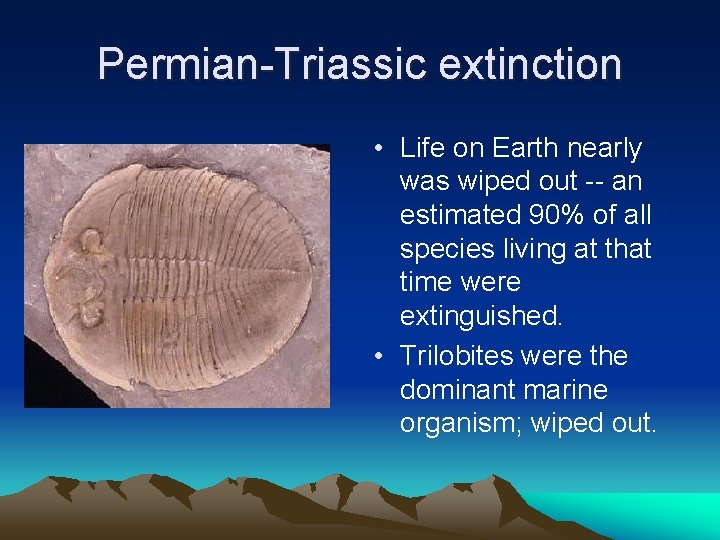 Permian-Triassic extinction • Life on Earth nearly was wiped out -- an estimated 90%