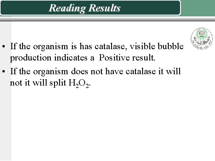 Reading Results • If the organism is has catalase, visible bubble production indicates a