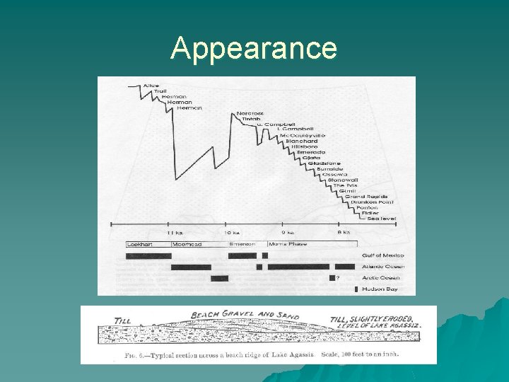 Appearance 