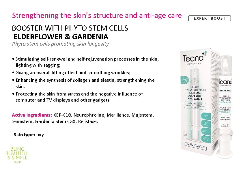 Strengthening the skin’s structure and anti-age care BOOSTER WITH PHYTO STEM CELLS ELDERFLOWER &