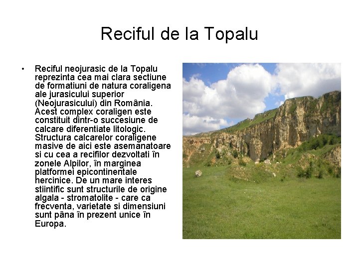 Reciful de la Topalu • Reciful neojurasic de la Topalu reprezinta cea mai clara