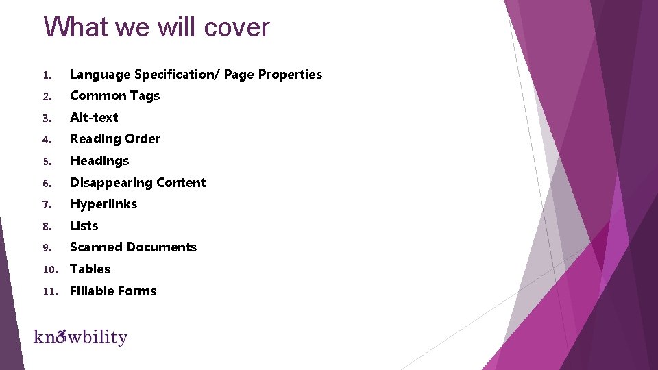 What we will cover 1. Language Specification/ Page Properties 2. Common Tags 3. Alt-text What we will cover 1. Language Specification/ Page Properties 2. Common Tags 3. Alt-text