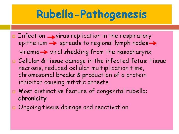 Rubella-Pathogenesis q q q Infection virus replication in the respiratory epithelium spreads to regional